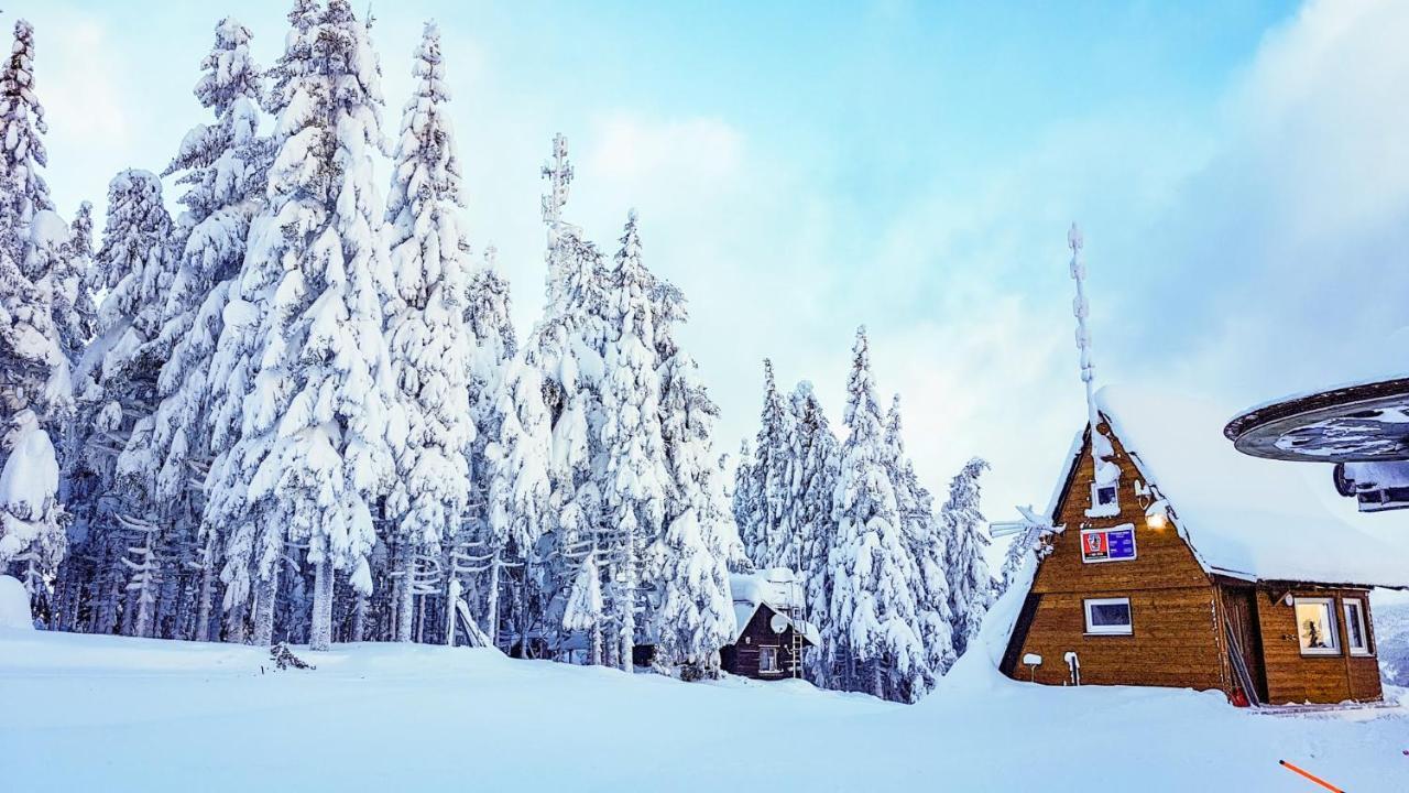 Apartment Mumlava Harrachov 1 외부 사진